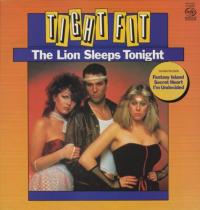 Tight Fit - The Lion Sleeps Tonight